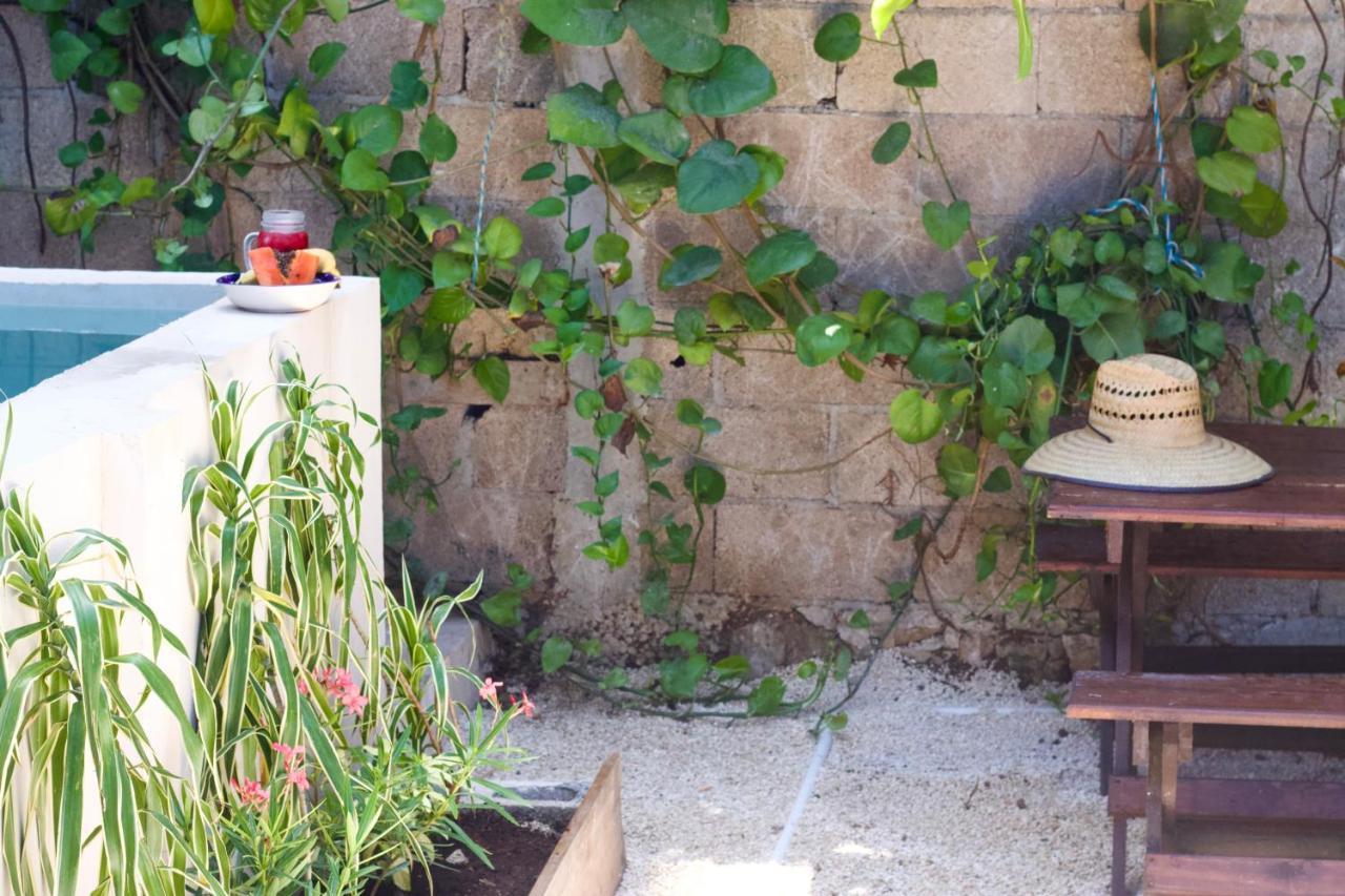 بلايا ديل كارمن Casa Del Artista - B&B المظهر الخارجي الصورة